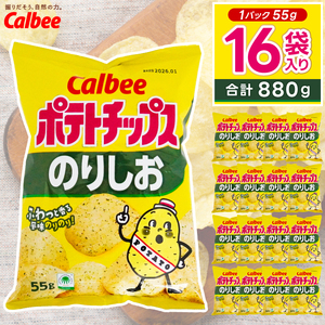 ポテトチップス カルビー 「のりしお」16袋(55g×16袋)1ケース 総計880g[ポテチ Calbee のり塩 のり しお セット 菓子 ポテト チップス スナック おやつ じゃがいも ジャガイモ お取り寄せ まとめ買い 詰め合わせ 詰合せ 人気 送料無料]