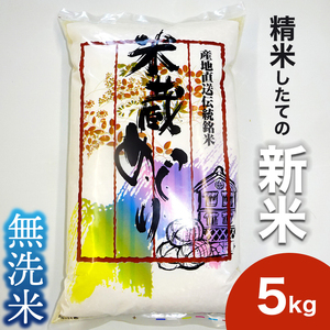 _V s\^  5kg  Ђ yߘa7NYz   RVqJ 5kg 錧 闢yzsnFz (BJ026)
