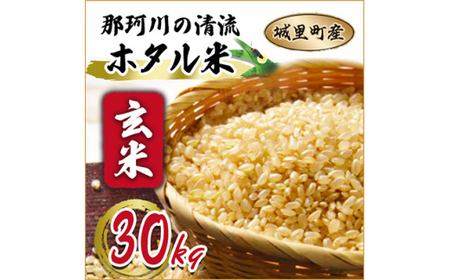  那珂川の清流ホタル米 【玄米】30kg 検査1等 令和7年産コシヒカリ (AX007)