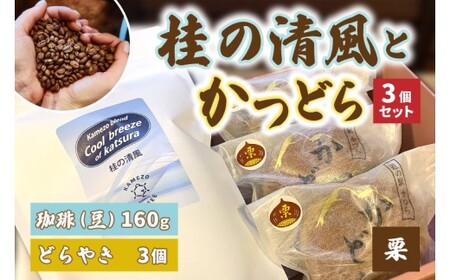 珈琲とかつどら3個セット[桂の清風(豆)/栗]