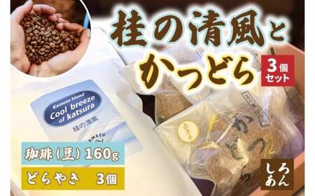 珈琲とかつどら3個セット[桂の清風(豆)/白あん]