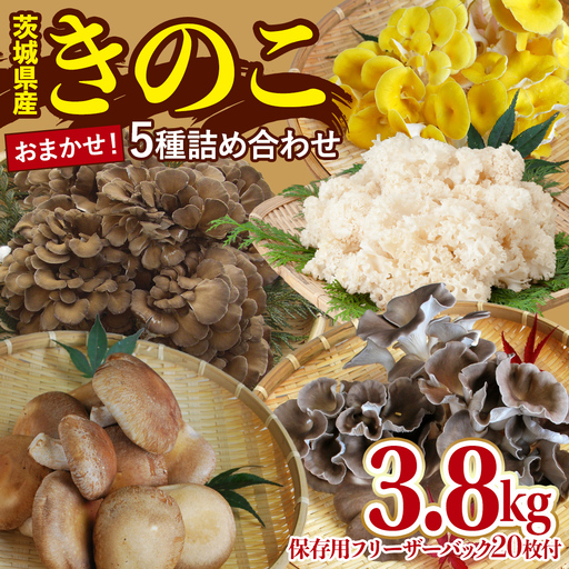 きのこ 5種 詰め合わせ 約3.8kg [ 保存用フリーザーバック 20枚付き ] 大容量 キノコ 舞茸 あわび茸 たもぎ茸 しいたけ 花びら茸 セット 鍋 炒め物