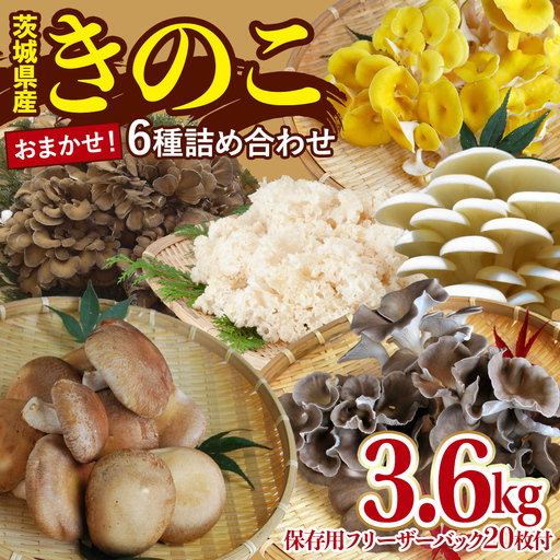 きのこ 6種 詰め合わせ 約3.6kg [ 保存用フリーザーバック 20枚付き ] 大容量 キノコ 舞茸 あわび茸 たもぎ茸 しいたけ 花びら茸 セット 鍋 炒め物