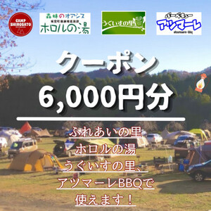 【城里町ホロルの湯、ふれあいの里、うぐいすの里、アツマーレBBQで使えるクーポン券】6,000円分【配送不可地域：離島】【1362341】