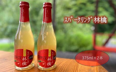 スパークリング 林檎 375ml (箱入り)× 2本 セット 果汁50% ふじりんご100%使用 アップル apple お酒 日本酒 女子会