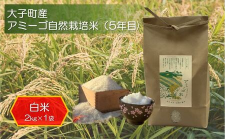 アミーゴ自然栽培米(5年目) 白米2kg 茨城県 大子町 米