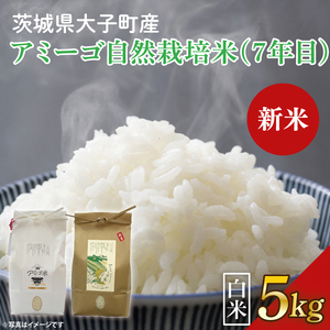 yVĐs\zy2025N11{\zߘa7NY V 5kg A~[S yāziRVqJER͔|āi7NځjEVājb錧 q    ͂