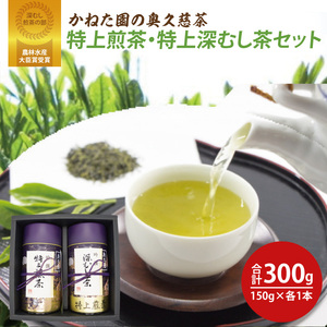 y_ѐYb܎܁z˂̉v E[ނZbg v300gi150g×e1{jiCK004j