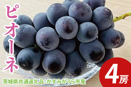 ys\zsI[l 4[i錧ʕԗiF݂sYj@2025N9{`2025N10{ɏ\iCD030j