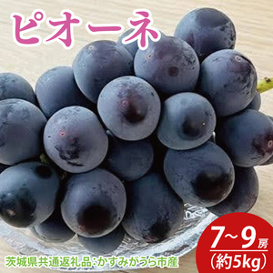 ys\zsI[l 5kg 7`9[i錧ʕԗiF݂sYj@2025N9{`2025N10{ɏ\iCD037j