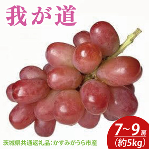 ys\z䂪 5kg 7`9[i錧ʕԗiF݂sYj@2025N9{`2025N10{ɏ\iCD038j