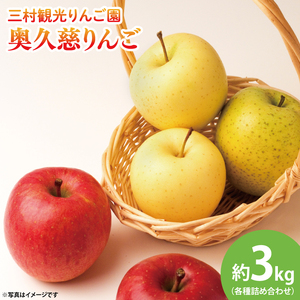 [先行予約・数量限定]三村観光りんご園の奥久慈りんご(各種詰め合わせ)約3kg[10月中旬頃順次発送予定]|茨城県 大子町 林檎 旬 果物 フルーツ 果実 果汁 ギフト 贈答(BX001-1)