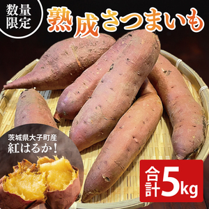 ys\zy10{菇\zn܂ g͂邩 5kgb錧 q Tc}C ׂɂ͂邩  Â zNzN  ʌ 5L {iCH001j