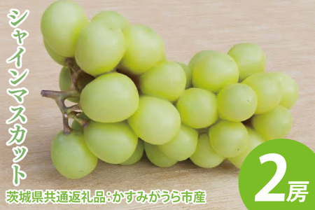 ys\zVC}XJbg 2[i錧ʕԗiF݂sYj@2025N8{`2026N1{ɏ\iCD023j