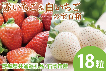 [先行予約]赤いちごと白いちごの宝石箱 18粒(茨城県共通返礼品:石岡市産) ※2024年12月初旬〜2025年3月下旬頃に順次発送予定