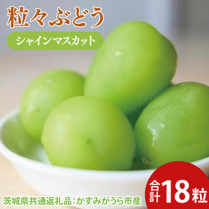 ys\zXԂǂ VC}XJbg18i錧ʕԗiF݂sYj@2025N8{`2026N1{ɏ\iCD053j