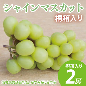ys\zVC}XJbg ˔2[i錧ʕԗiF݂sYj@2025N8{`2026N1{ɏ\iCD042j