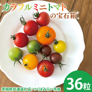 ys\zJt~jg}g̕Δ 36i錧ʕԗiF΂݂炢sYj2026N1{`3{ɏ\iCD093j