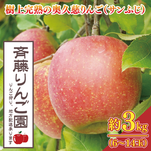 [数量限定/先行予約]樹上完熟の奥久慈りんご「サンふじ」約3kg(6〜14玉)[2025年11月上旬頃発送予定]斉藤りんご園第2直売所|茨城県 大子町 林檎 果物 フルーツ 旬(CG007-1)