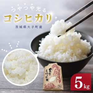 [ 令和7年産]つやつや光る 新米コシヒカリ 5kg 菊池農園|茨城県 大子町 お米 白米 精米 産地直送(CL001-1)