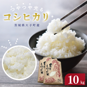 [ 令和7年産]つやつや光る 新米コシヒカリ 10kg 菊池農園|茨城県 大子町 お米 白米 精米 産地直送 米 もちもち(CL002-1)