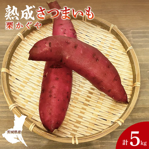 ys\zy10{菇\zn܂ I 5kgb錧 q Tc}C  Â zNzN  ʌ 5L {iCH004j