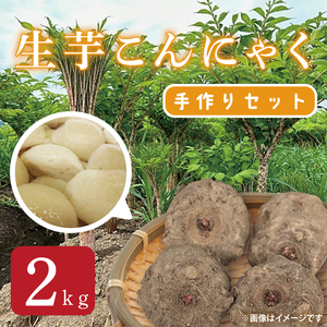 生芋こんにゃく手作りセット 【こんにゃく芋（みやままさり）2kg ・凝固剤・レシピ付き】｜こんにゃく こんにゃく芋 手作り 令和6年度 大子町産 刺身 蒟蒻 田舎(CL003)