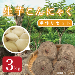 生芋こんにゃく手作りセット 【こんにゃく芋（みやままさり）3kg ・凝固剤・レシピ付き】｜こんにゃく こんにゃく芋 手作り 令和6年度 大子町産 刺身 蒟蒻 田舎(CL004)