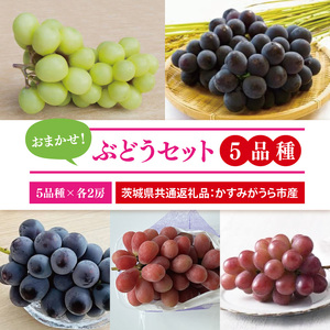 [先行予約][2025年9月より発送開始]おまかせ!ぶどうセット 5品種×各2房(茨城県共通返礼品:かすみがうら市産)