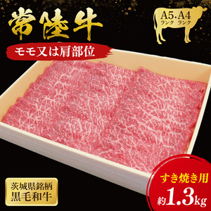 헤 EĂp 1.3kg ( 錧ʕԗi ) a Y    ₫ uh Mtg 蕨 j  јa ōuh qiCU005j