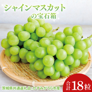 ys\zyΕzVC}XJbg̕Δ18i錧ʕԗiF݂sj|v[g  蕨 Ԃǂ  uhE }XJbg 錧 qiCD189j