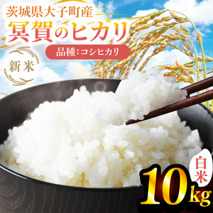 [先行予約][9月下旬より順次発送予定]新米10kg 「冥賀のヒカリ」コシヒカリ(白米)令和7年産 |茨城県 大子町 奥久慈 米 精米 ご飯 数量限定