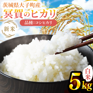 ys\zy9{菇\zV5kg ũqJvRVqJiājߘa7NY b錧 q v V  ͂ ˂    