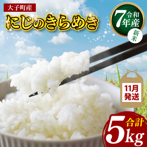 [新米][2025年11月発送]令和7年産 立神米「にじのきらめき」5kg(白米)|茨城県 大子町 奥久慈 大子産米 精米 米 コンテスト 受賞 生産者 米 ふっくら もっちり(BT061-11)