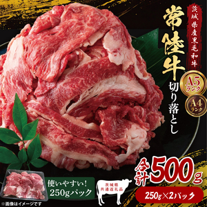 y錧ʕԗiz헤؂藎Ƃ500gi250g×2jbuh  a јa Y A5EA4N     Ă uߕ  錧 qiDD006j