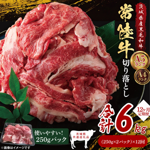 y錧ʕԗizy12ցz헤؂藎Ƃ500gi250g×2jbuh  a јa Y A5EA4N     Ă uߕ   12  