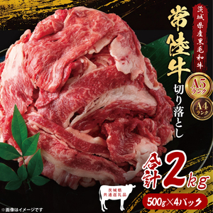 y錧ʕԗiz헤؂藎Ƃ2kgi500g×4jbuh  a јa Y A5EA4N     Ă uߕ  錧 qiDD014j