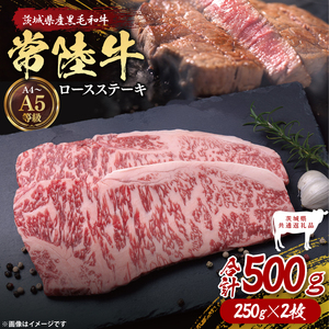 y錧ʕԗiz헤[XXe[L500gi250g×2jbuh  a јa Y A5EA4N    Xe[L [X 錧 qiDD001j