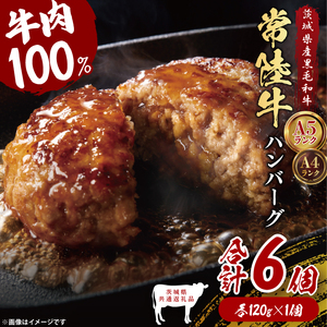 y錧ʕԗiz헤100 no[O 120g×6buh  a јa Y A5EA4N    ^   錧 qiDD020j