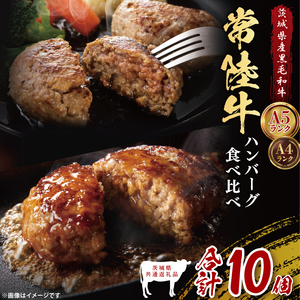 [茨城県共通返礼品]常陸牛100% vs 常陸牛入りハンバーグの食べ比べセット (計10個入り)常陸牛使用|ブランド牛 銘柄牛 和牛 黒毛和牛 国産 A5・A4ランク 等級 お肉 牛肉 真空 小分け 個包装 茨城県 大子町