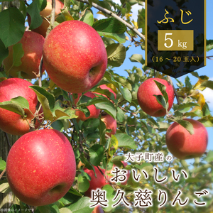 y2025N11{ȍ~zqŶv񂲁iӂj5kgb錧 q v  S tW ӂ   t[c ӂ[ ʎ   ʕiAH010