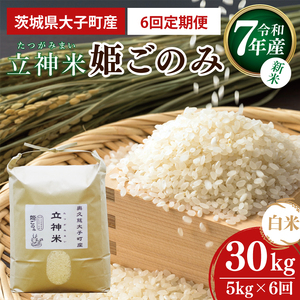 y6ցzyVāzߘa7NY _āuP̂݁viāj 5kg×6(BT073)