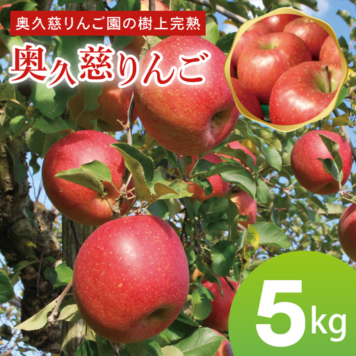 先行予約 奥久慈 りんご 5kg 樹上完熟 奥久慈りんご園 茨城県 大子町 フルーツ 果物 国産 詰め合わせ ふじ 秋映 陽光 シナノゴールド シナノスイート 秋 旬 お取り寄せ 数量限定 [2026年9月中旬頃順次発送開始予定]
