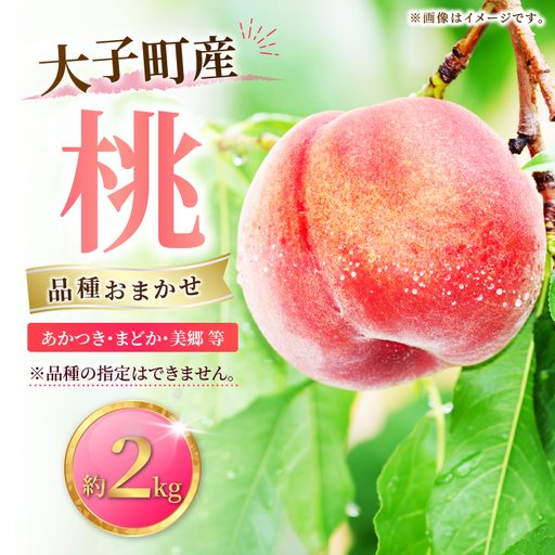 [先行予約・数量限定]大子町産「桃」約2kg 品種おまかせ(あかつき・まどか・美郷 等)|茨城県 大子町 令和8年産 もも モモ フルーツ 果物 おまかせ 詰め合わせ 産地直送 旬 人気 厳選 奥久慈りんご園