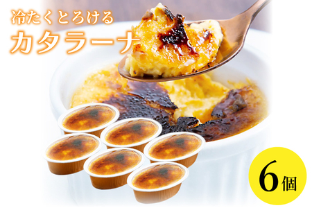 vJ^[i 6Zbg ЂXC[ciAR009j