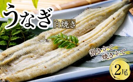 うなぎ白焼き(割き立て・焼き立て)2尾