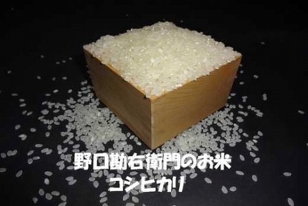 y7NYzEq̂āuS͔|āiRVqJjv8.5kg