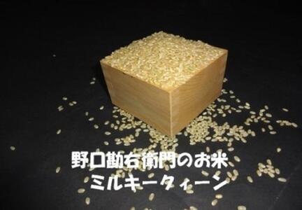 y7NYzEq̂āuĐHœKāi~L[NC[jv30kg