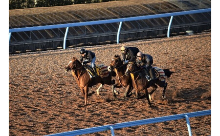令和8年2月18日(水)美浦村体感 トレセン調教見学付き村内ツアーと特産品(お米5kg)