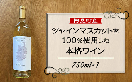 白 ワイン 100% 国産 シャインマスカット 2022年醸造 H.Ichizaki